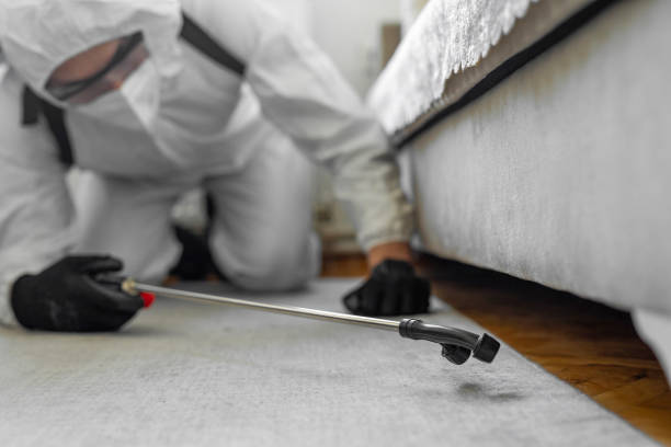 Professional Termite Control technician working in Hampton Manor, NY