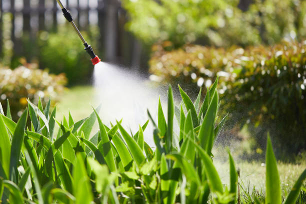 24/7 Emergency Termite Control experts in Hampton Manor, NY